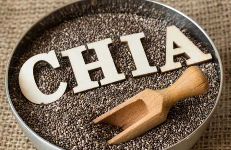 ingredienti semi di chia