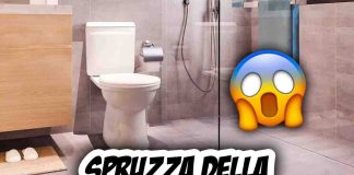 lacca pulizia wc