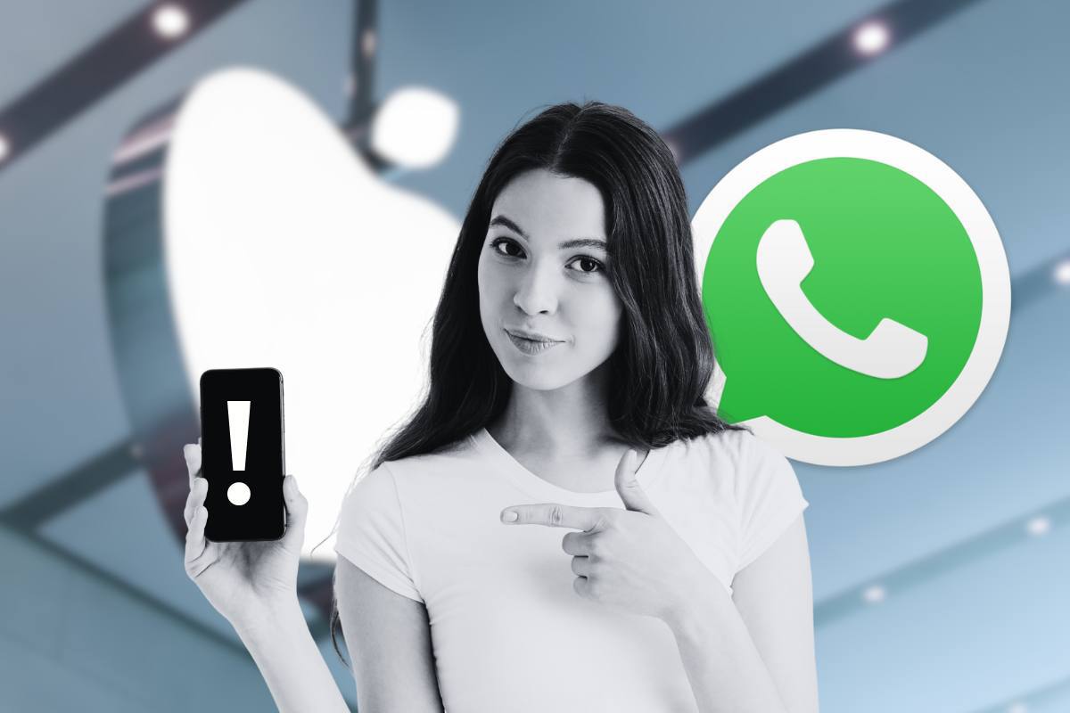 whats app novità